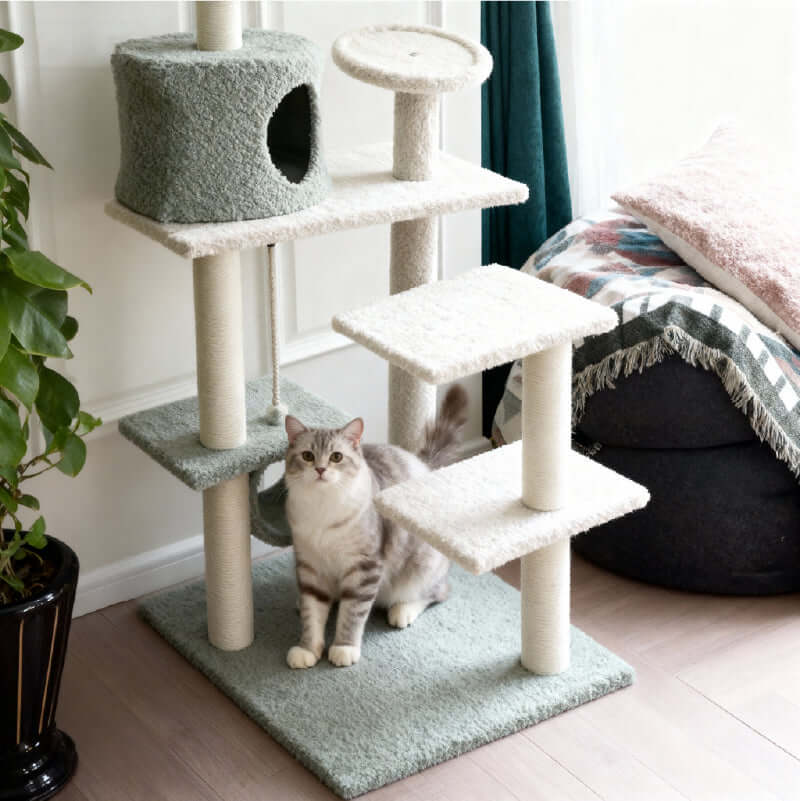 Fun and Cozy Cat Tree for Large Cats with a playful gray cat exploring it.