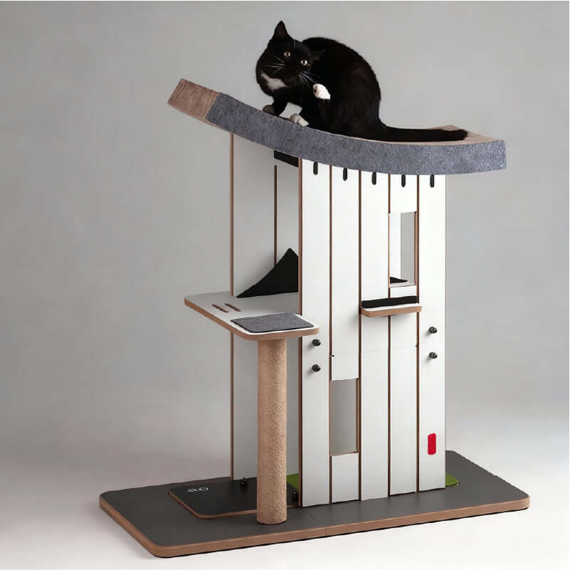 Chalet Tatzenstein Cat Tree with a black cat on top, designed as a stylish indoor playground for cats.