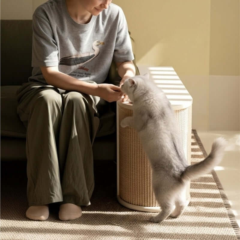 Cat Scratcher Side Table for Humans and Cats