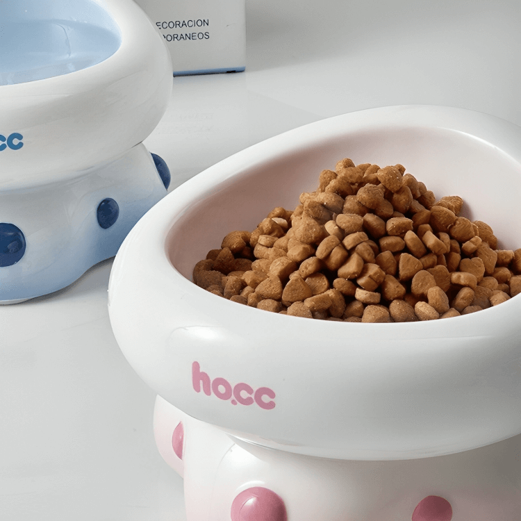 Non-Toxic Glaze Ceramic Cat Bowl with Rounded Edge -KtKitty