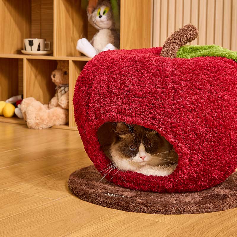 Apple Cat Cave Bed β Cozy, Cute, and Safe with a cat peeking out of a soft, red apple-shaped bed.