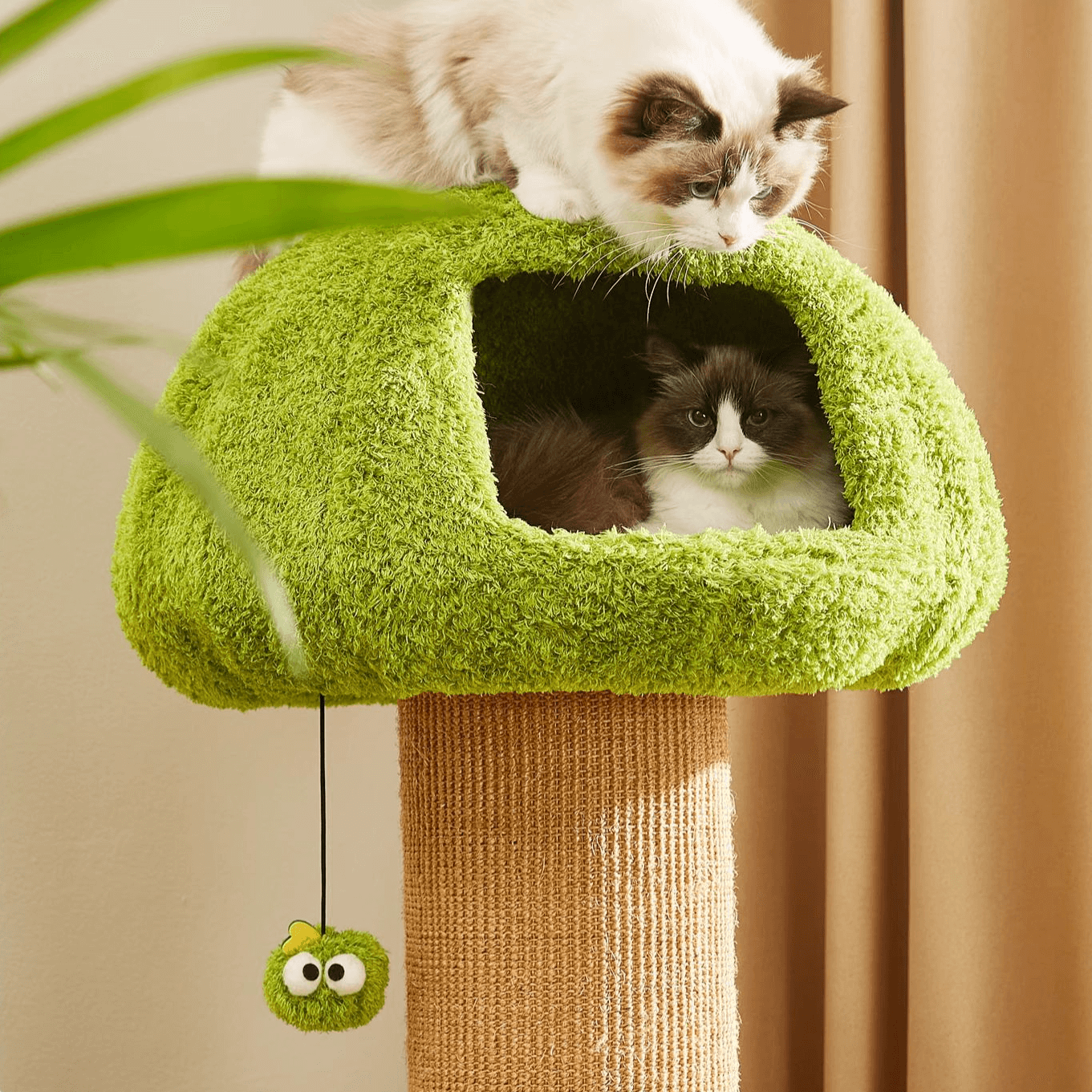 Forest Mushroom Cat Tree — Condo, Scratching Posts & Play Ladder