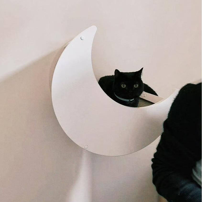 3-in-1 cat wall set with shelf, bed, and sisal scratcher