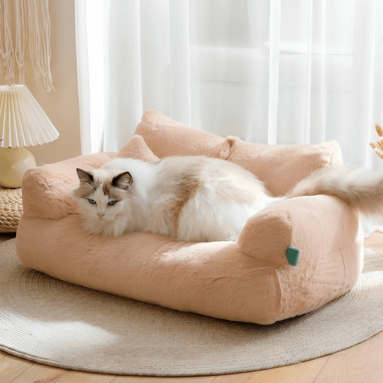 Durable & Stable Cat Couch -KtKitty