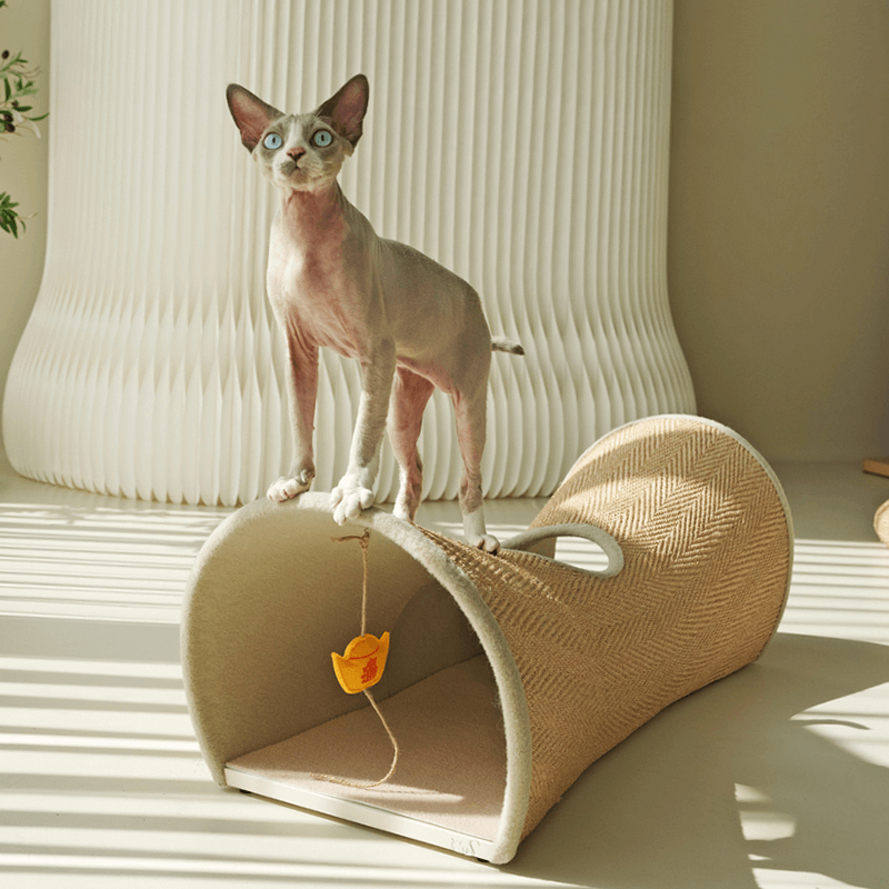 Reinforced bottom structure for stability on various surfaces