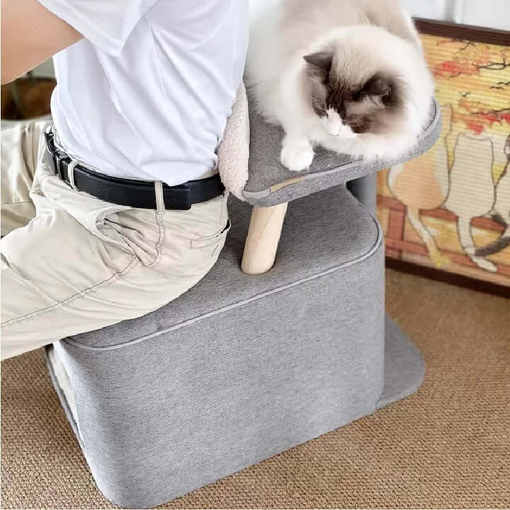 Shared Cat Furniture Chair — Cozy Spot for You and Your Feline