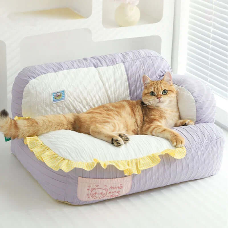 Soft & Cozy Cat Sofas — Perfect Lounging Spots for Happy Indoor Cats with a happy cat lounging on a plush sofa.