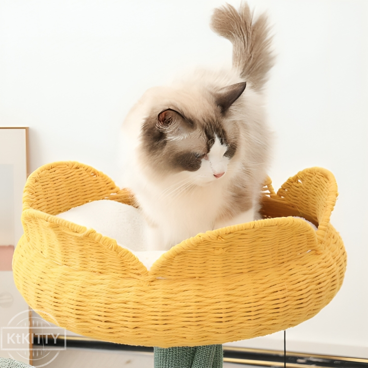 Yellow Tulip Cat Tree β Sturdy & Elegant with a fluffy cat sitting on the tulip-shaped bed.
