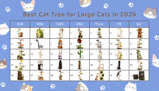 What Is the Best Cat Tree for Large Cats in 2026