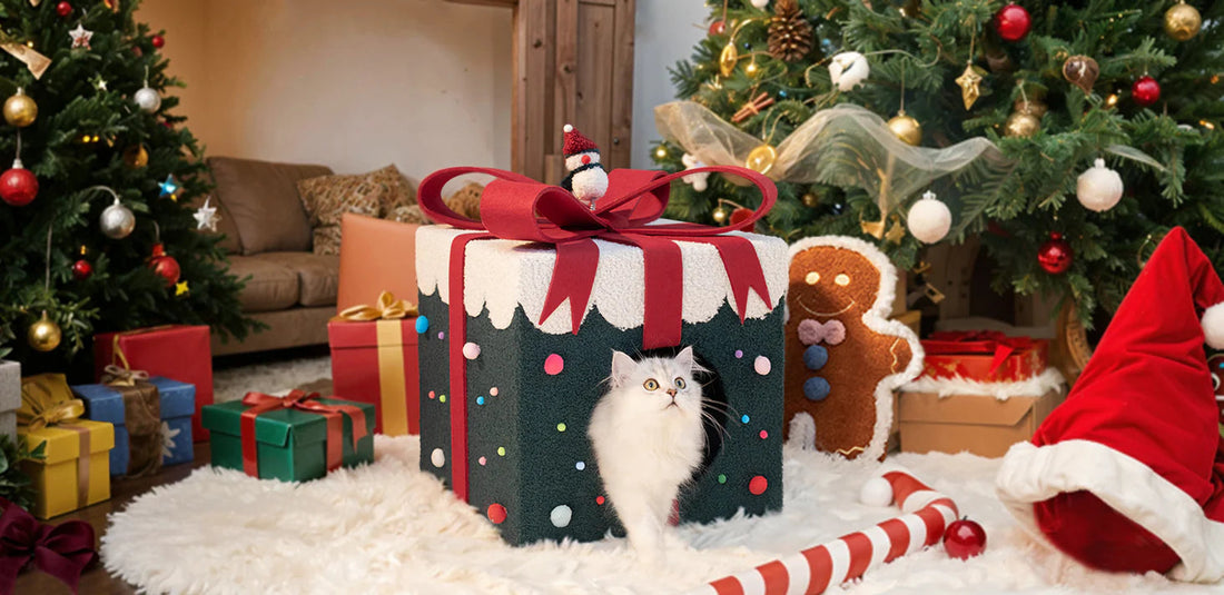 The Ultimate 2025 Cat Holiday Gift Guide