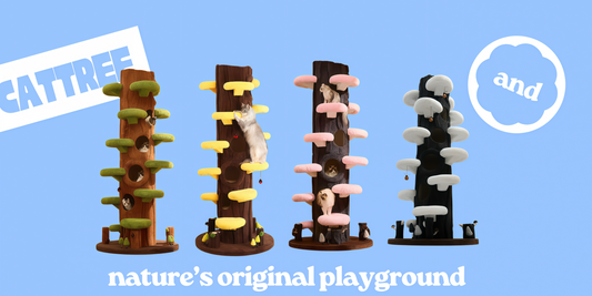 Choosing the Best Luxury Cat Tree: Size, Materials, Design, and Uncompromising Safety