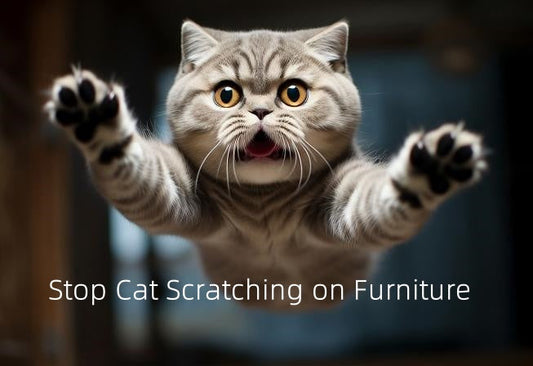 Stop Cat Scratching on Furniture