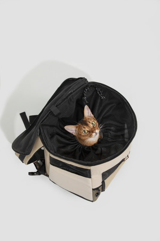 Hands-free pet travel backpack with padded straps -KtKitty