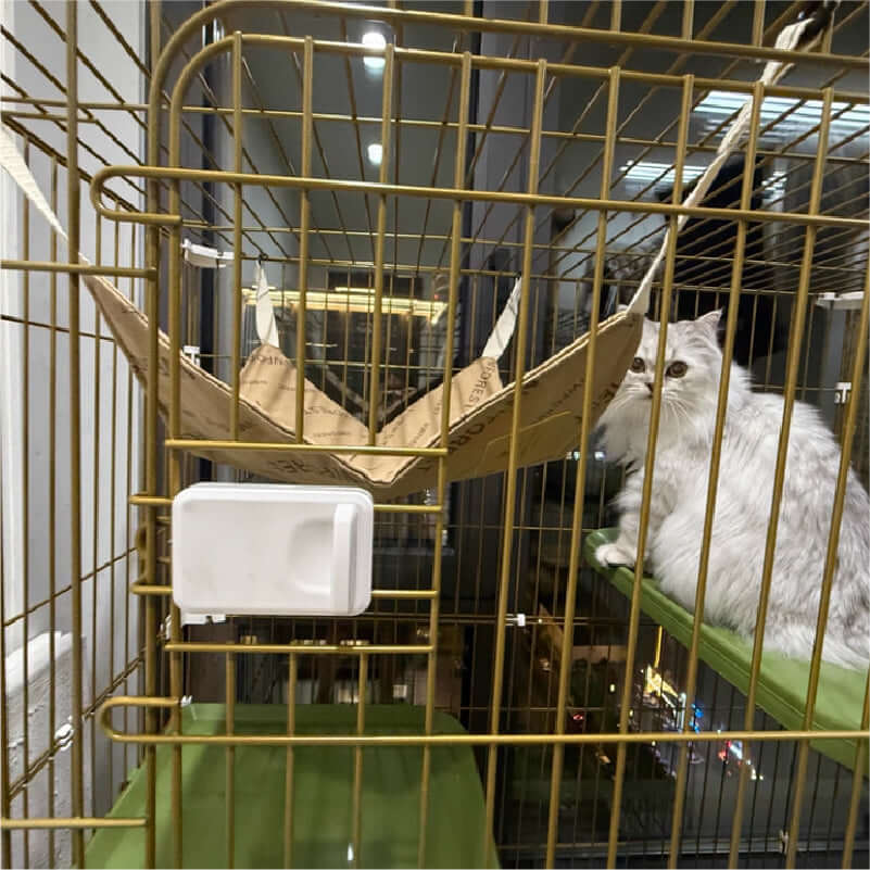 Luxury Space-Themed Cat House — Safe Multi-Level Home for Indoor Cats with a white cat lounging inside.