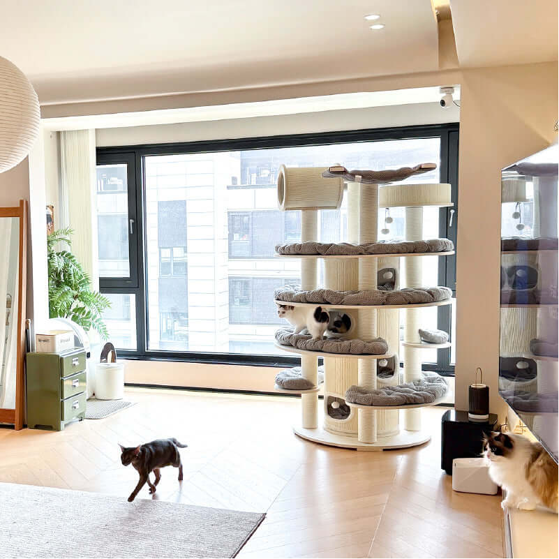 Luxury Multi-Level Cat Tower for Indoor Cats in a modern living room with cats playing and relaxing.