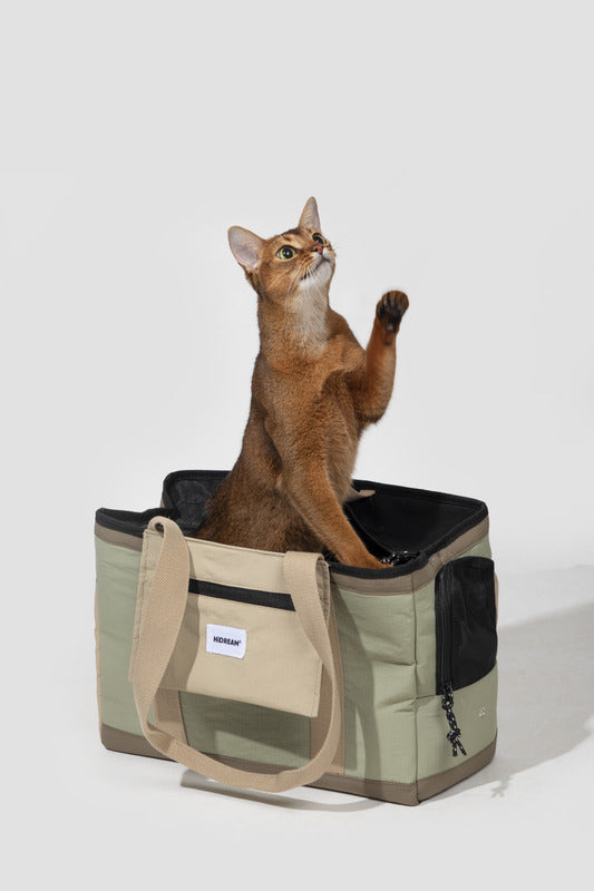 Travel-friendly pet carrier with ample space for large pets -KtKitty