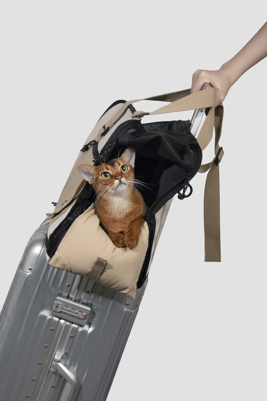 Premium quality cat tote for everyday use -KtKitty