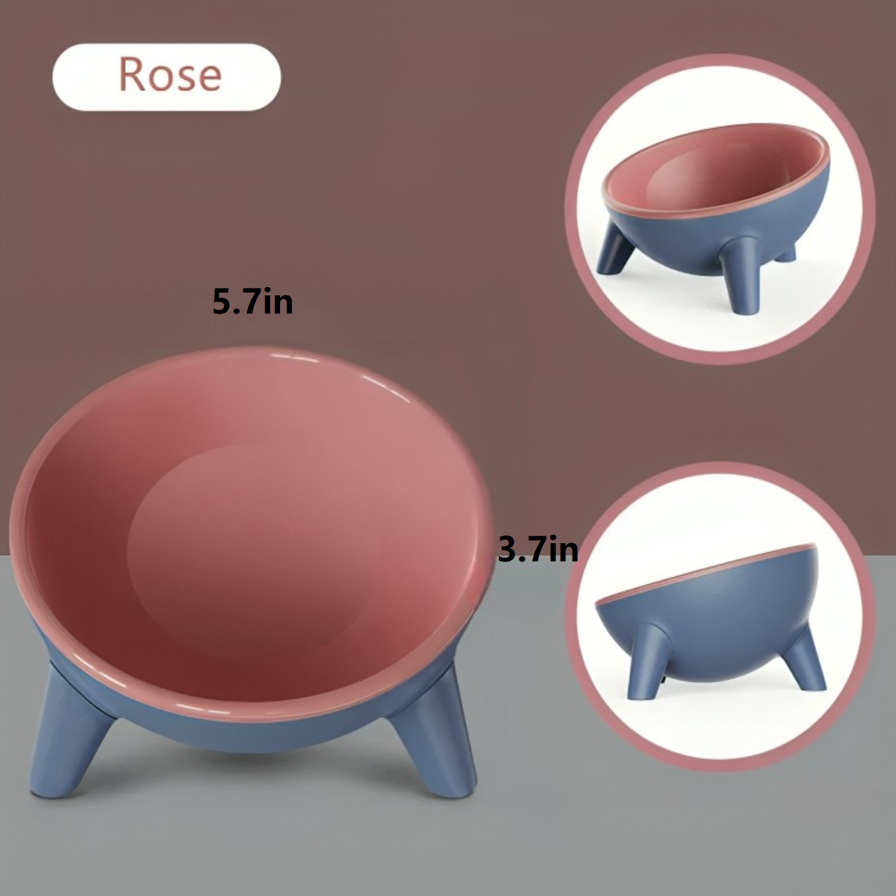 Modern Color Block Pet Feeding Bowl -KtKitty