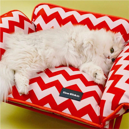Memphis-Style Elevated Cat Hammock & Woven Wool Cat Cave with a fluffy cat lounging on a stylish red zigzag bed.