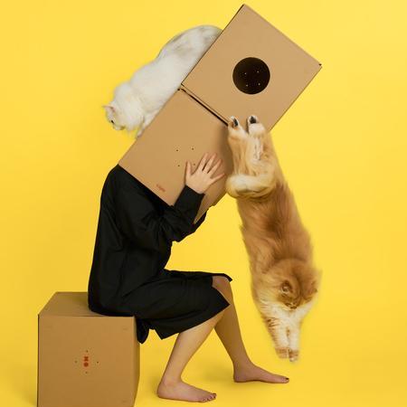 Multi-Function Cardboard Cat Tunnel with Digging Hole & Hiding Space