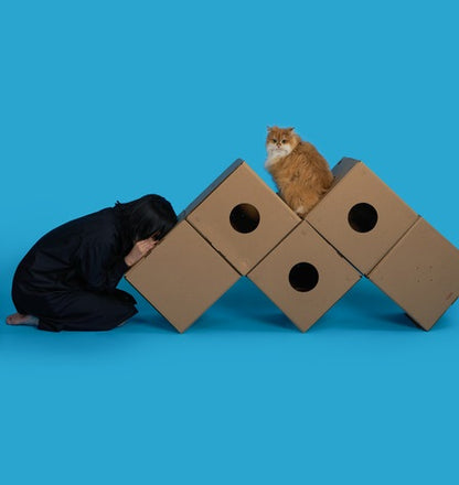 Multi-Function Cardboard Cat Tunnel with Digging Hole & Hiding Space