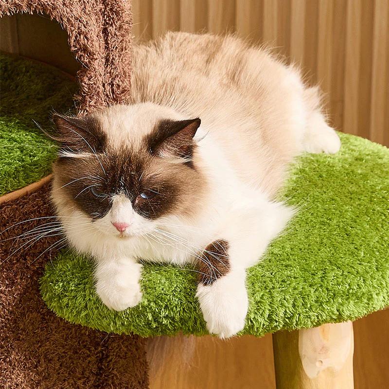 Jungle Cave Large Cat Tree for Big Cats