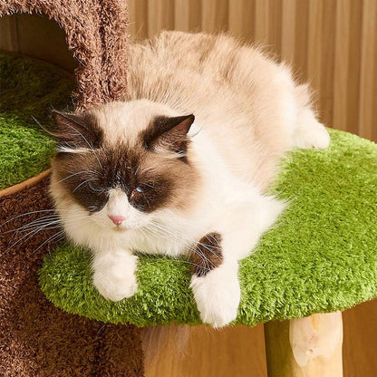 Jungle Cave Large Cat Tree for Big Cats