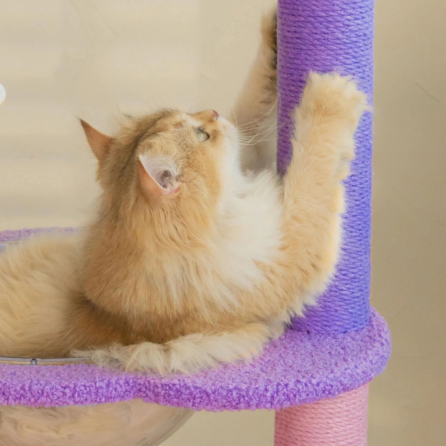 Large Platforms for Comfortable Relaxation ¨C Moonlight Cat Tree -KtKitty