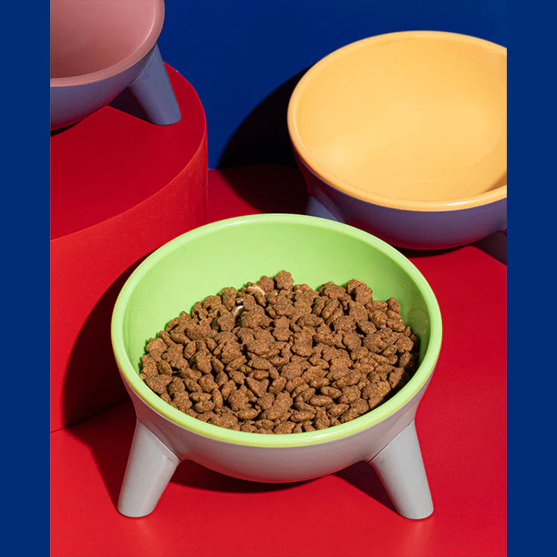 Wide & Whisker-Friendly Cat Food Dish -KtKitty