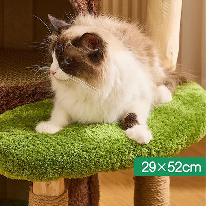 Jungle Cave Large Cat Tree for Big Cats