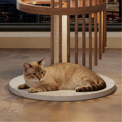 Spiral Solid Wood Cat Tree — Safe, Strong, and Fun for Cats