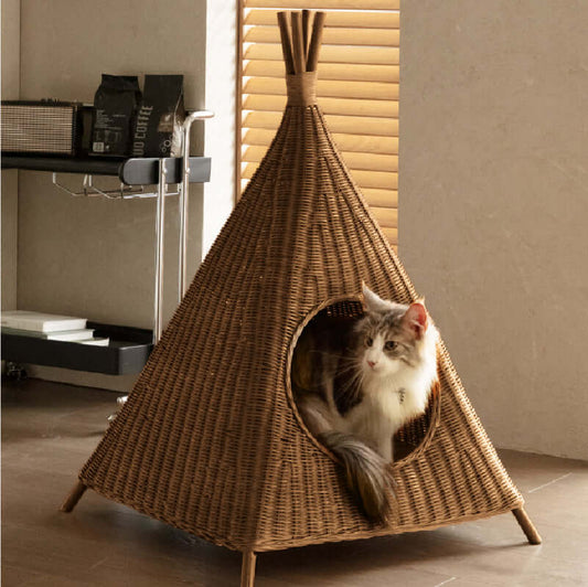 Natural Rattan Cat House – A Cozy Safe Home for Your Cat with a cat relaxing inside.