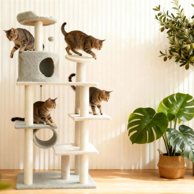 Fun and Cozy Cat Tree for Large Cats with multiple cats climbing and playing on it.