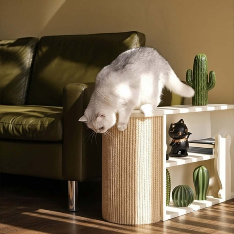 Cat Scratch Table Cat Scratcher Side Table for Humans and Cats – KtKitty