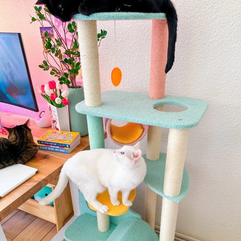 Durable and Stable Base for Safety ¨C Wonderland Cat Tree -KtKitty