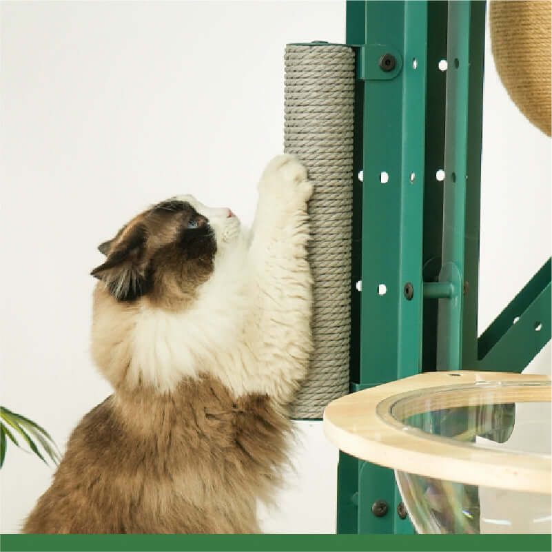 Cat using the scratching post on the Sturdy DIY Cactus Cat Tree for multi-cat families.
