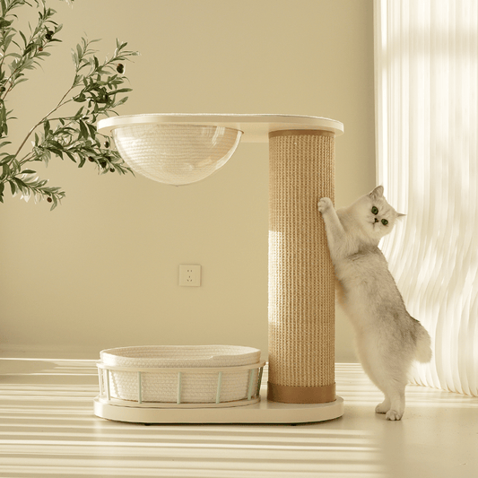 Includes a cozy lower den with loop fleece mat