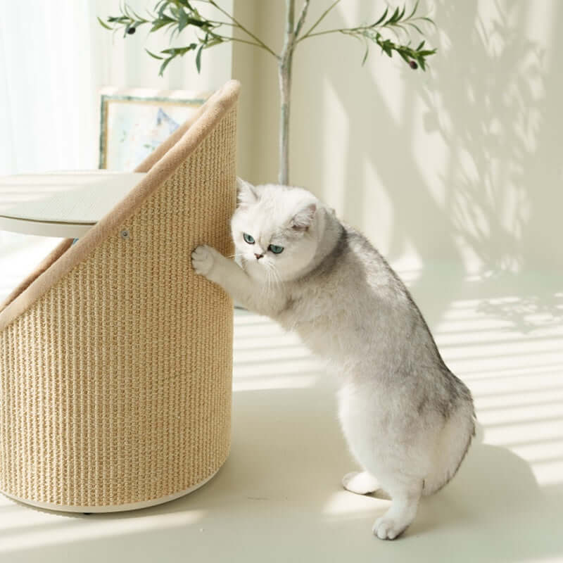 Features a circular top platform for jumping and viewing, with a semi-enclosed lower level providing a private retreat. Constructed with paint-free ecological board.