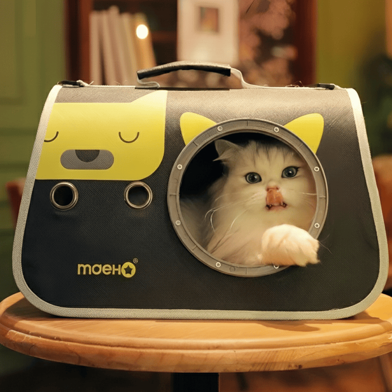 KtKitty Cat Crossbody Bag and pet shoulder bag for small cats.