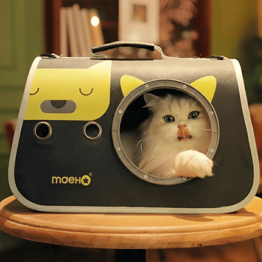 KtKitty Cat Crossbody Bag and pet shoulder bag for small cats.