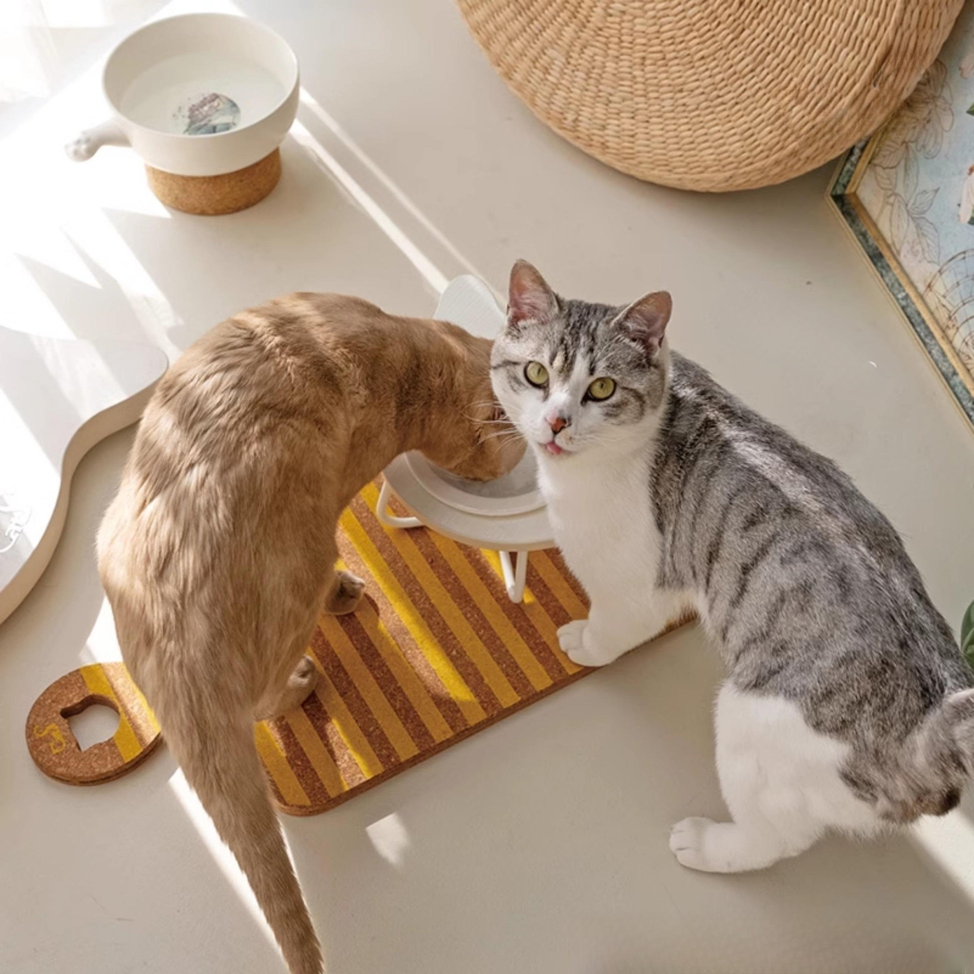 Raised stand protects cat's neck and spine during feeding, ergonomic design.