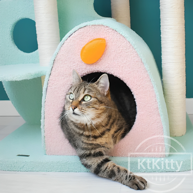 Stable & Spacious Wonderland Cat Tree – Ideal for Multi-Cat Homes -KtKitty