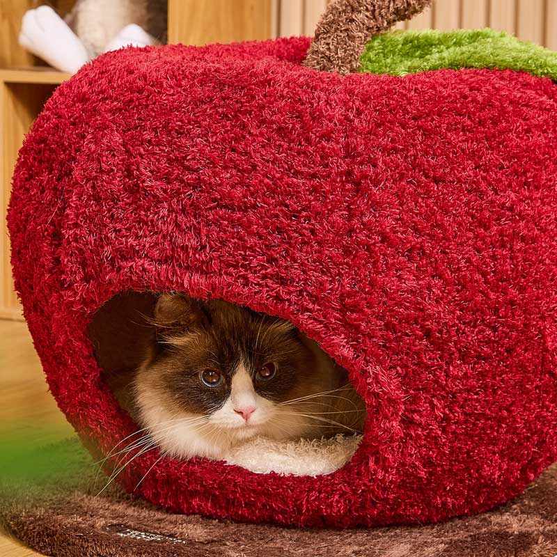 Apple Cat Cave Bed — Cozy, Cute, and Safe with a cat peeking out from inside.