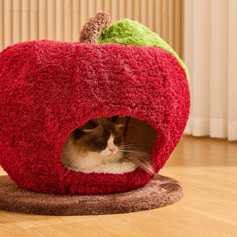 Apple Cat Cave Bed — Cozy, Cute, and Safe with a cat peeking out from inside the apple-shaped cave.