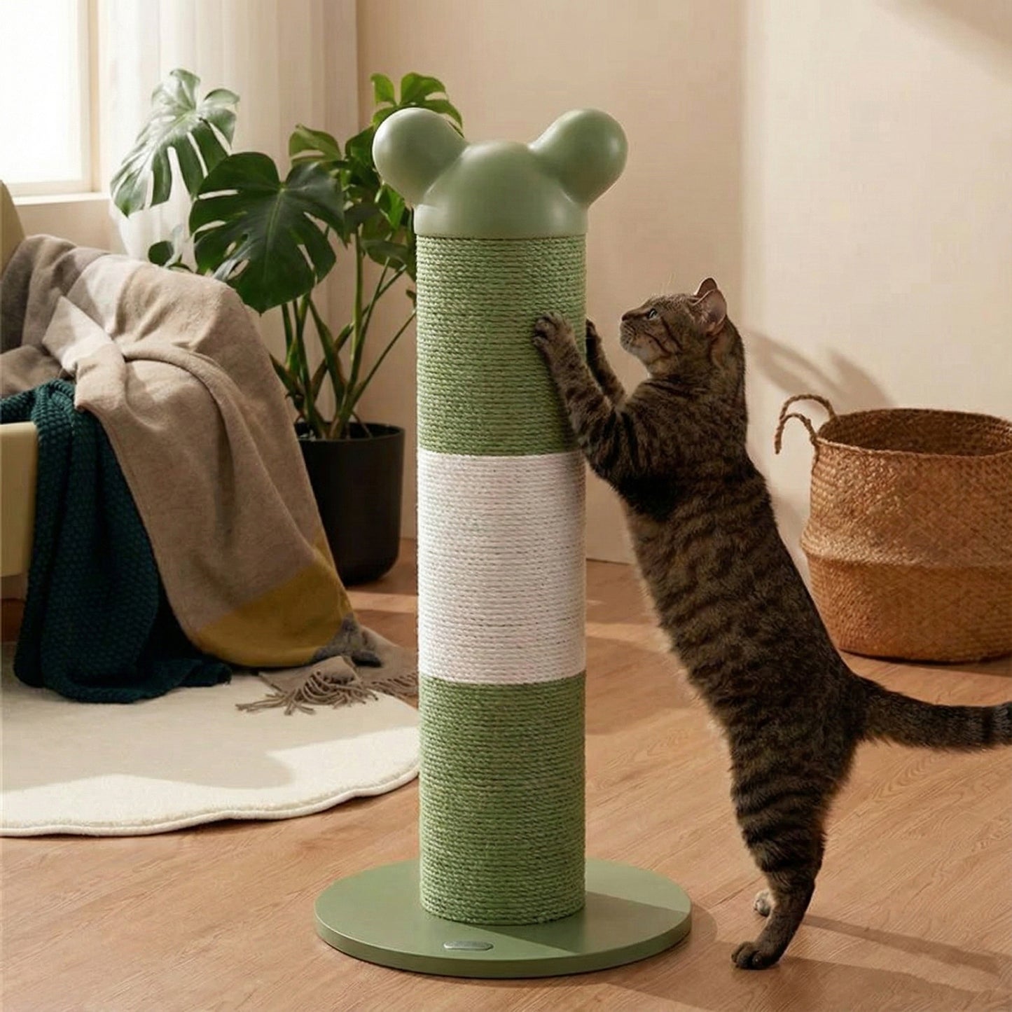 Single Vertical Cat Scratcher for Active Cats with a playful green design and a cat scratching the surface.
