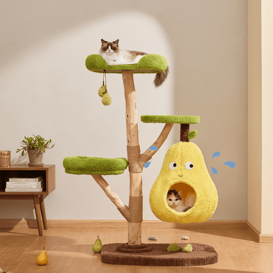 A realistic camera shot of the KtKitty Unique Pear Cat Tree Tower in a natural home environment. The image shows the solid wood structure with a pear-shaped all-season cat bed, captured with authentic colors, natural indoor shadows, and no artificial filters.