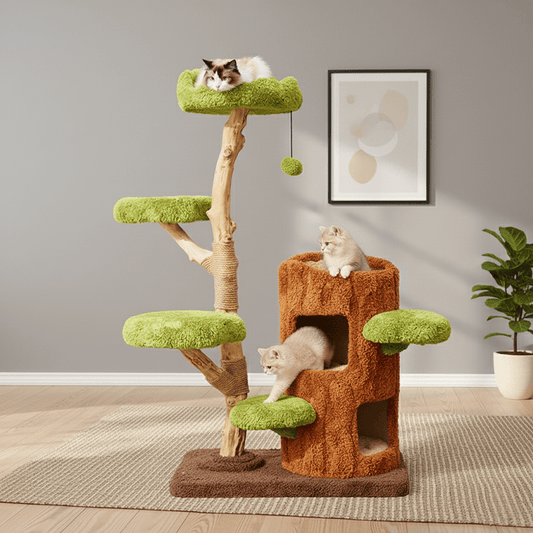 Natural Wood Cat Tree for Large Cats – Stable, Stylish & Compact with two cats lounging on it
