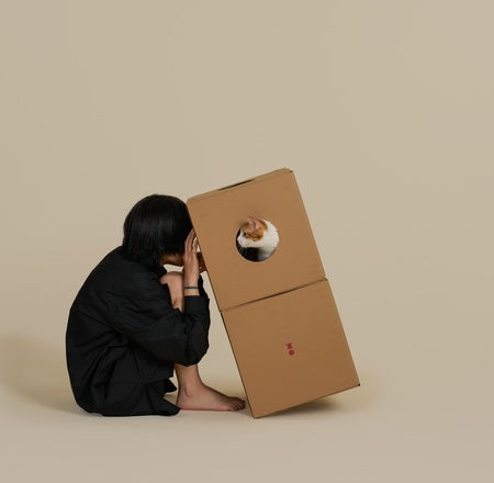 Modular Cat Playland – A customizable cat box set that offers endless exploration and fun. 🐾✨ -KtKitty