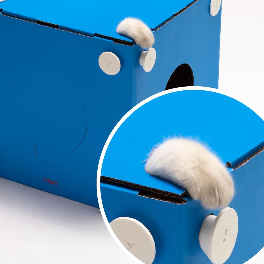 Modular design of Multi-Cat Cardboard Cat House and Arco Cardboard Cat Home connected to form a maze. Perfect for multi-cat homes with endless exploration and play opportunities. 