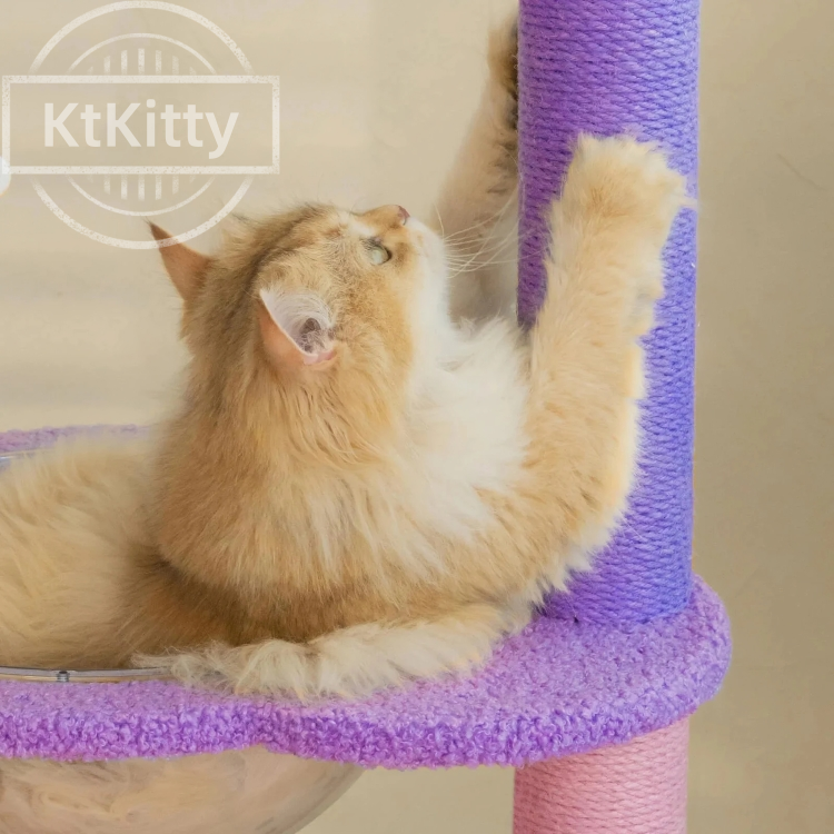 Large Platforms for Comfortable Relaxation - Moonlight Cat Tree -KtKitty